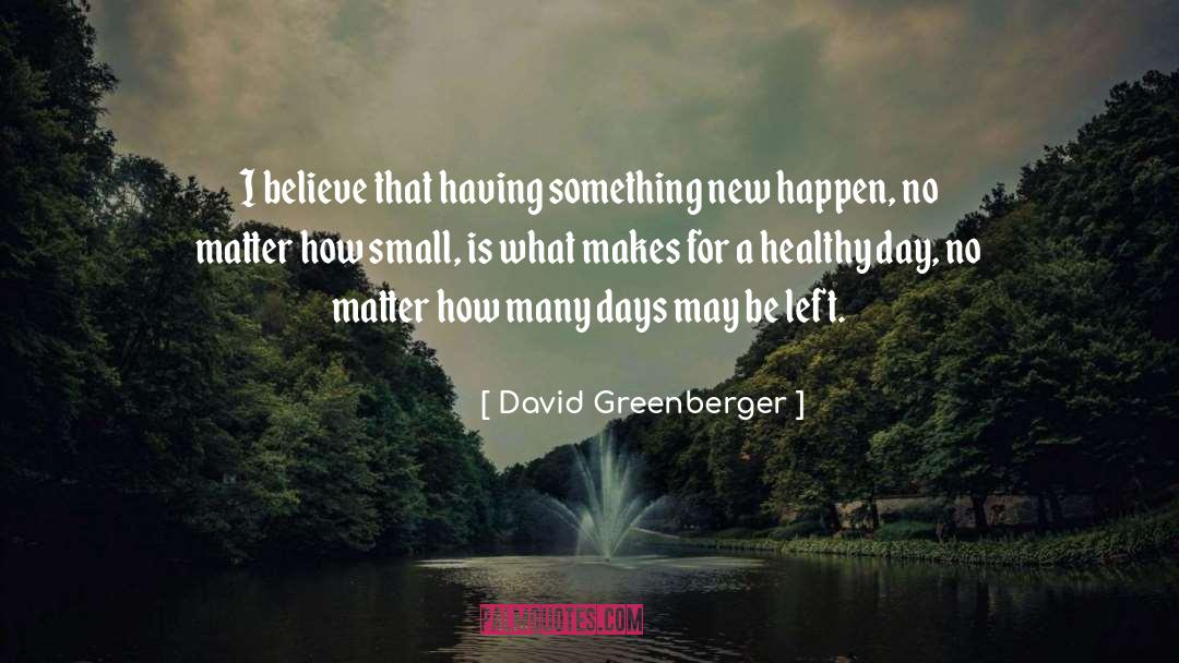 David Greenberger Quotes: I believe that having something