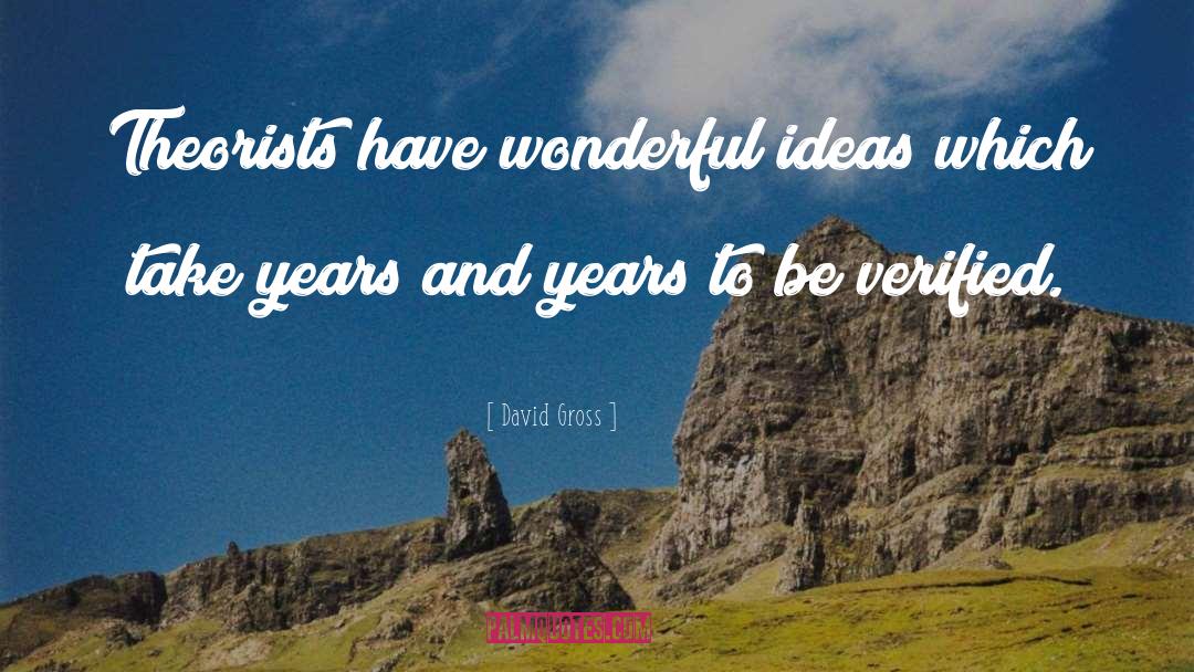 David Gross Quotes: Theorists have wonderful ideas which