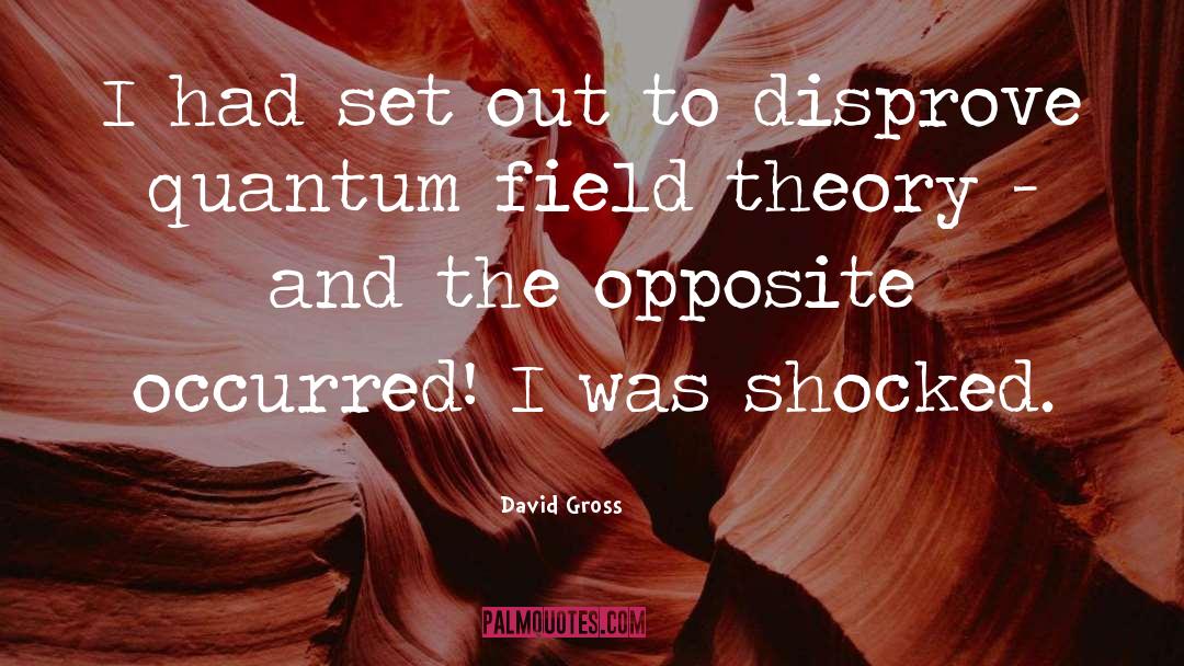 David Gross Quotes: I had set out to