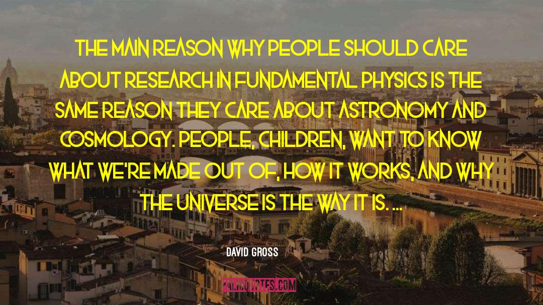 David Gross Quotes: The main reason why people