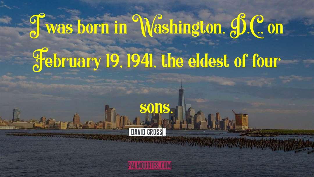 David Gross Quotes: I was born in Washington,