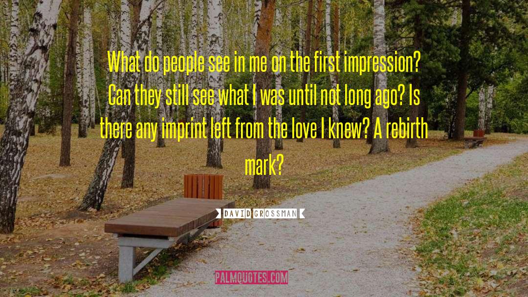 David Grossman Quotes: What do people see in