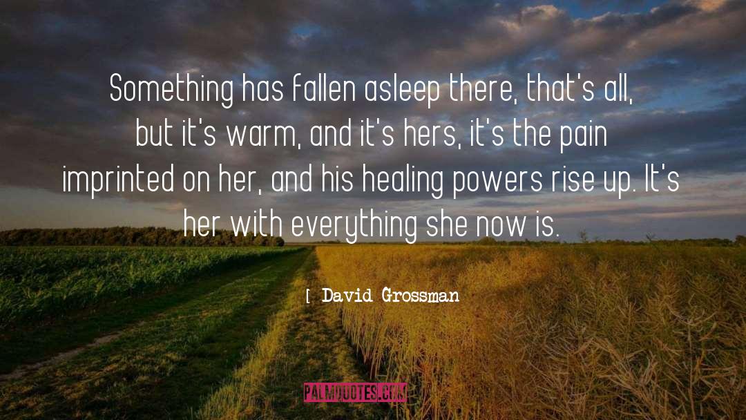 David Grossman Quotes: Something has fallen asleep there,