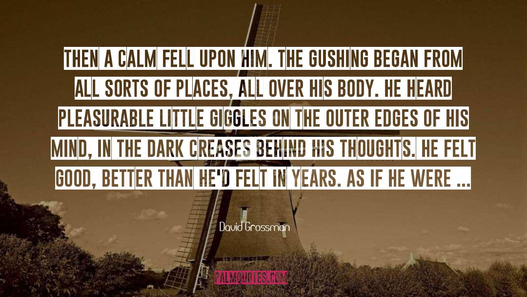 David Grossman Quotes: Then a calm fell upon