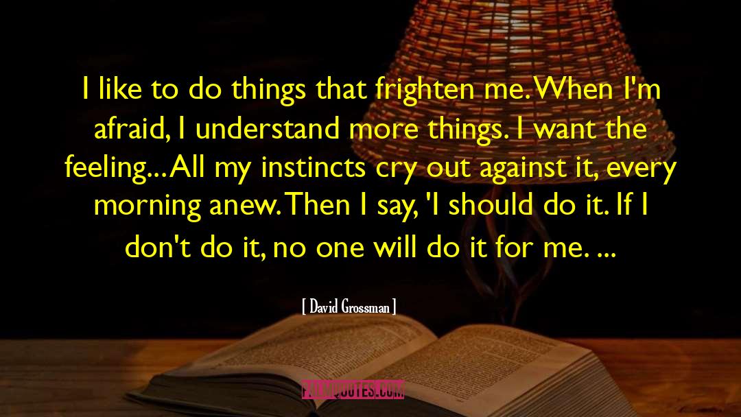 David Grossman Quotes: I like to do things