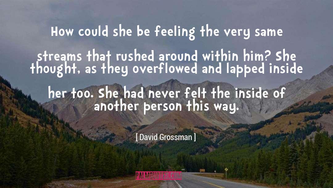 David Grossman Quotes: How could she be feeling