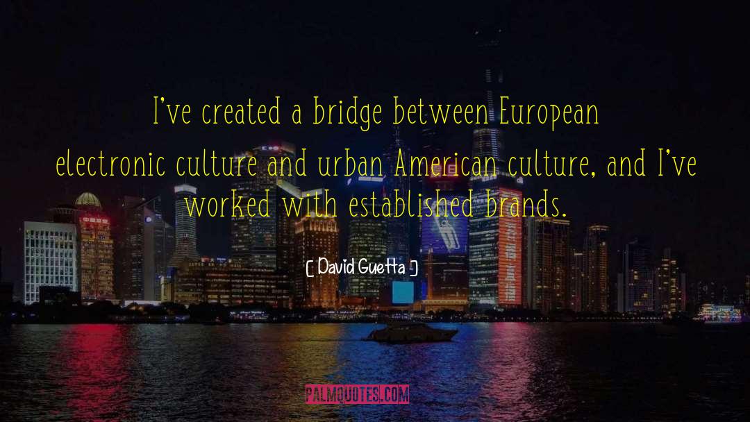 David Guetta Quotes: I've created a bridge between