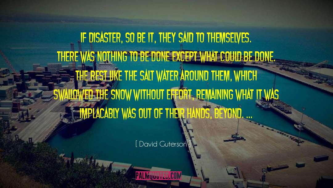 David Guterson Quotes: If disaster, so be it,