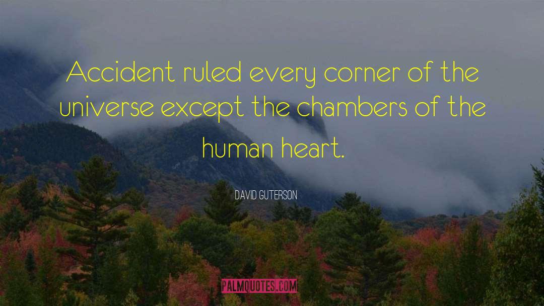 David Guterson Quotes: Accident ruled every corner of