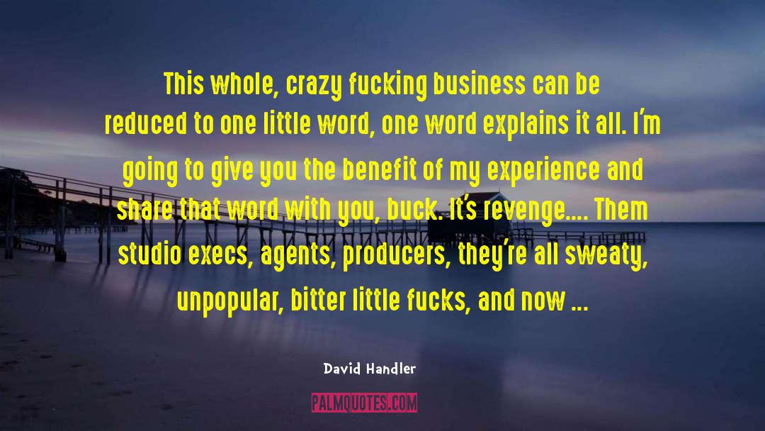 David Handler Quotes: This whole, crazy fucking business