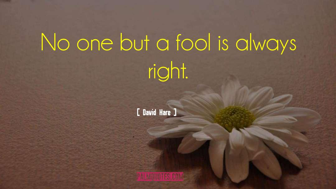 David Hare Quotes: No one but a fool