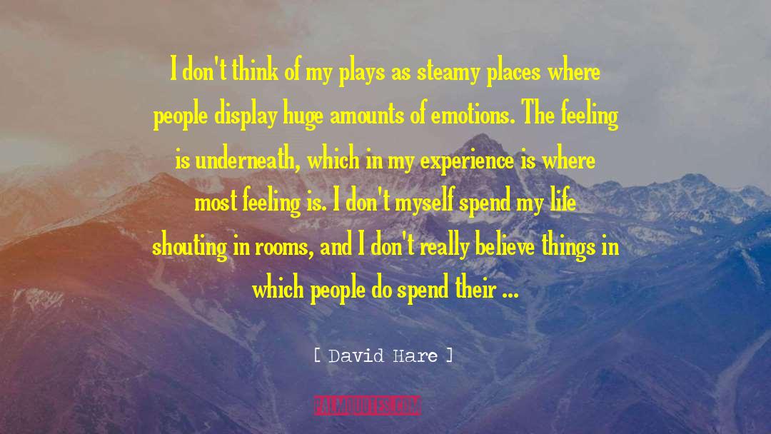 David Hare Quotes: I don't think of my