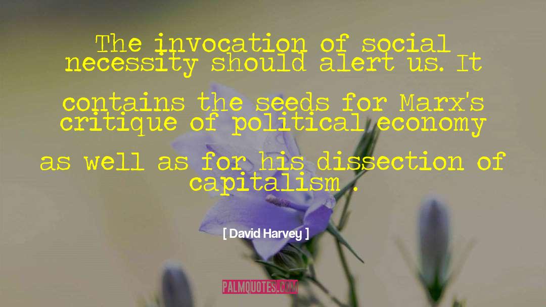 David Harvey Quotes: The invocation of social necessity