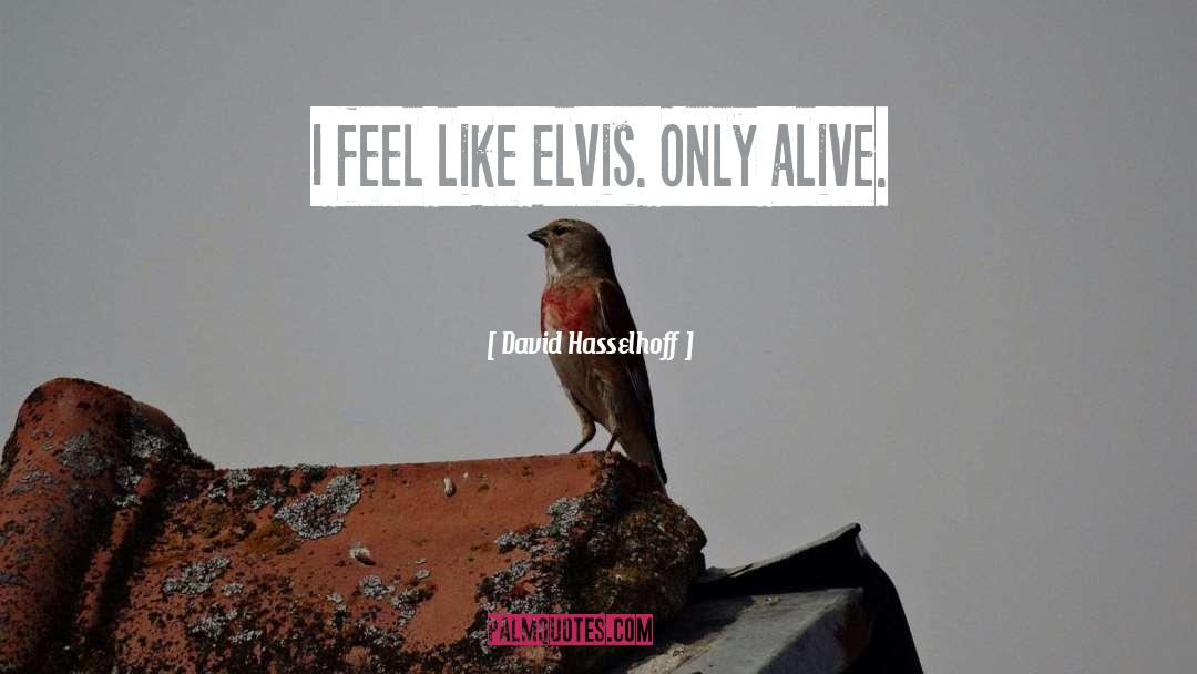 David Hasselhoff Quotes: I feel like Elvis. Only