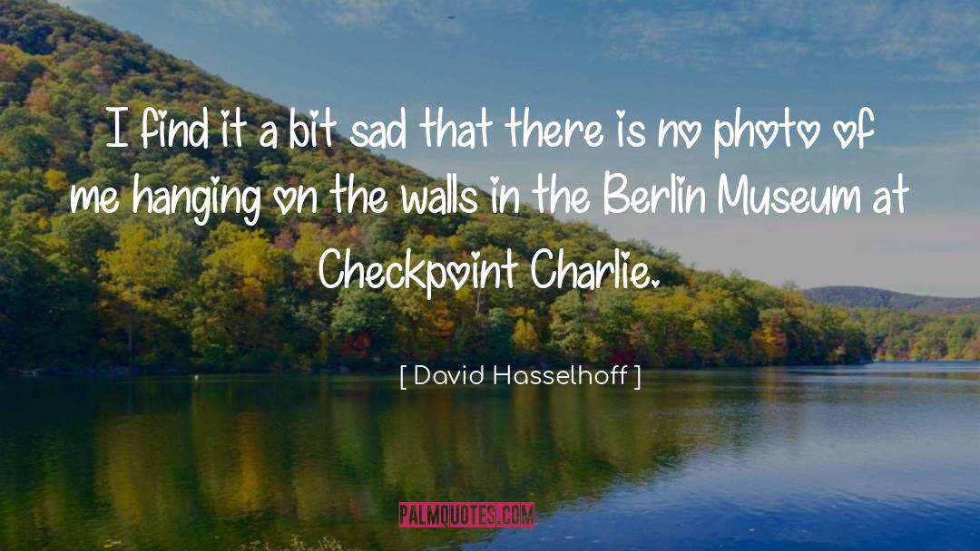 David Hasselhoff Quotes: I find it a bit