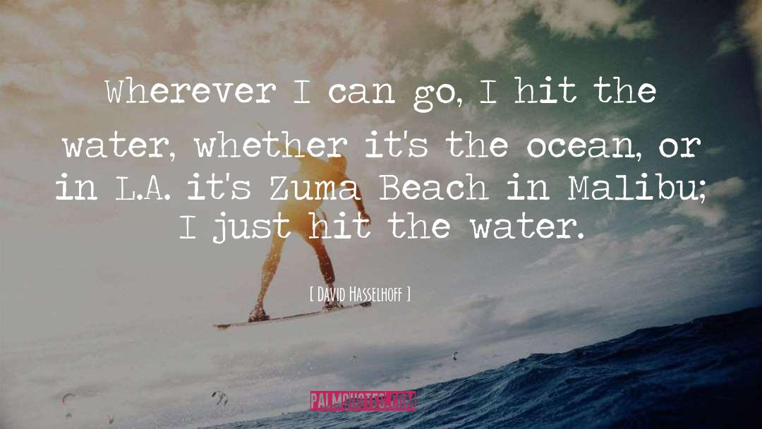 David Hasselhoff Quotes: Wherever I can go, I