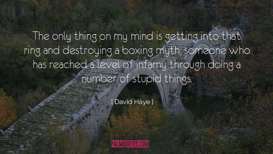 David Haye Quotes: The only thing on my