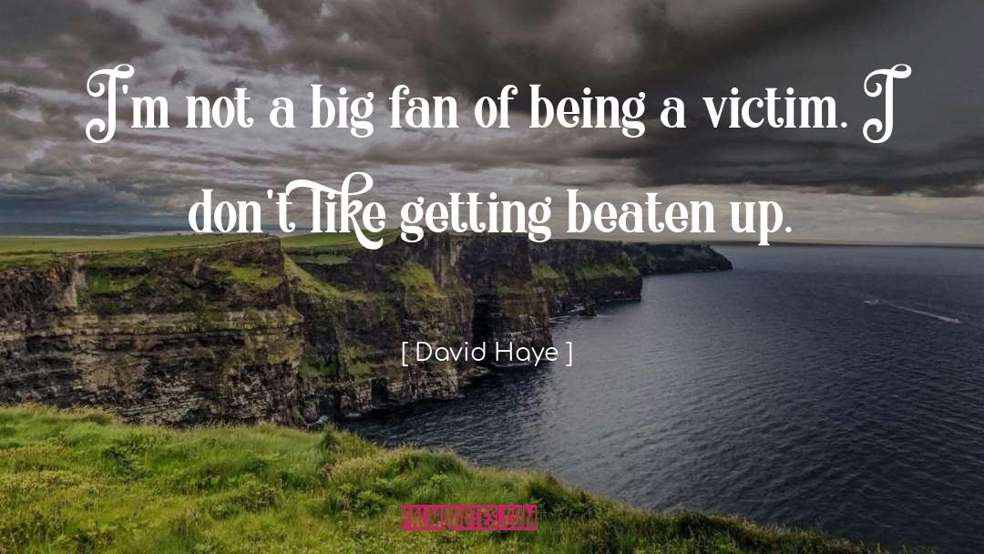 David Haye Quotes: I'm not a big fan