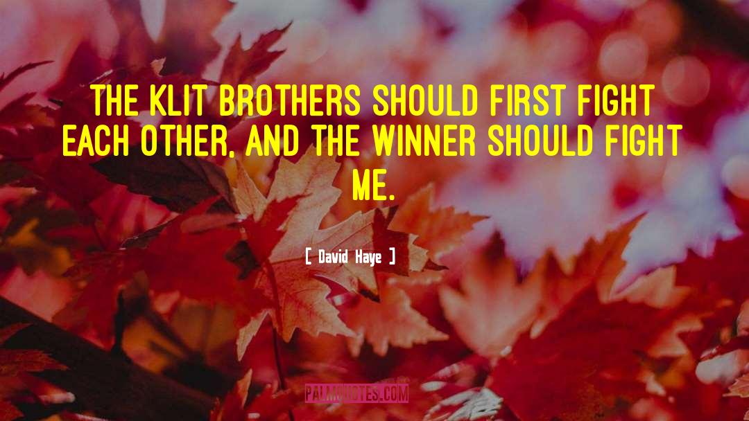 David Haye Quotes: The Klit brothers should first