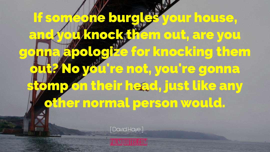 David Haye Quotes: If someone burgles your house,