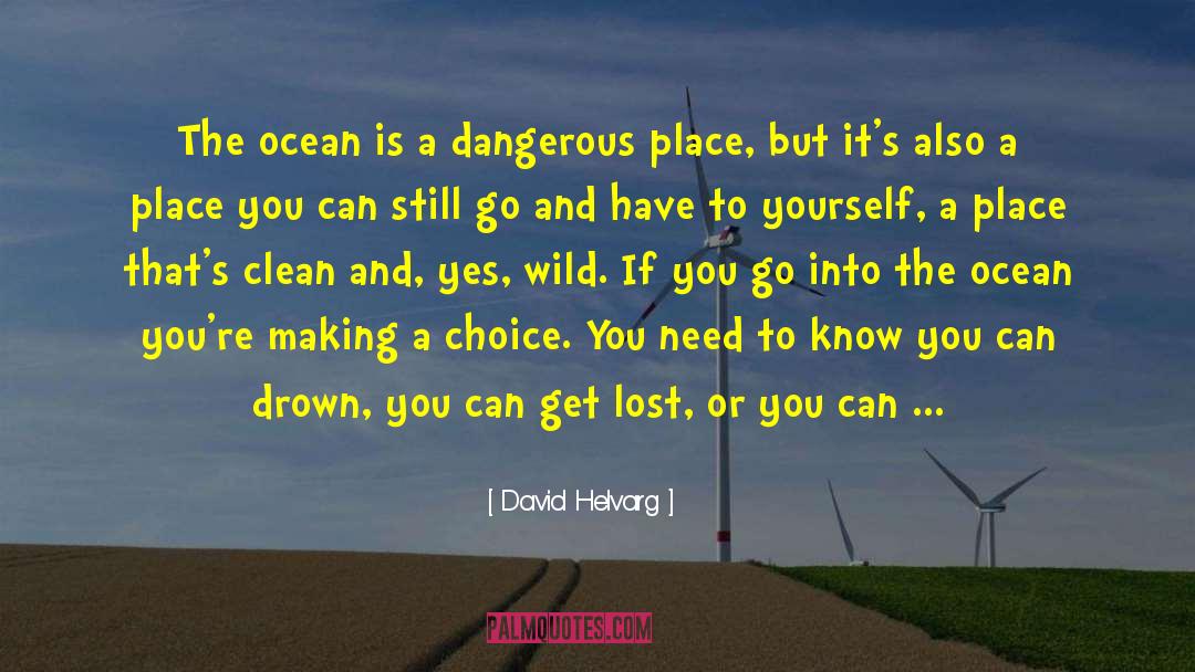 David Helvarg Quotes: The ocean is a dangerous