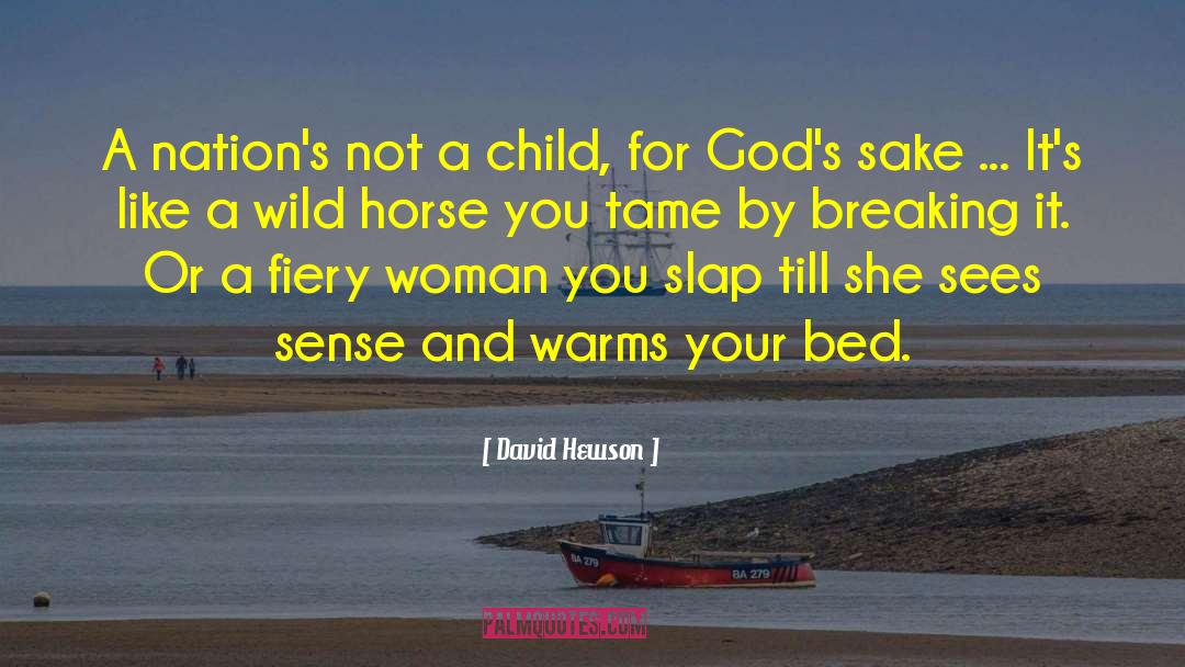 David Hewson Quotes: A nation's not a child,