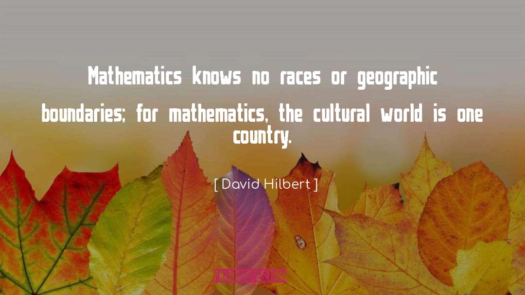 David Hilbert Quotes: Mathematics knows no races or