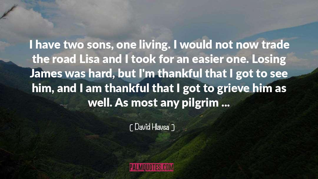 David Hlavsa Quotes: I have two sons, one