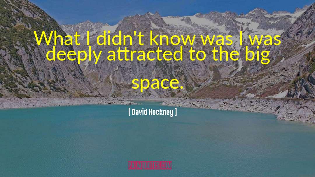 David Hockney Quotes: What I didn't know was