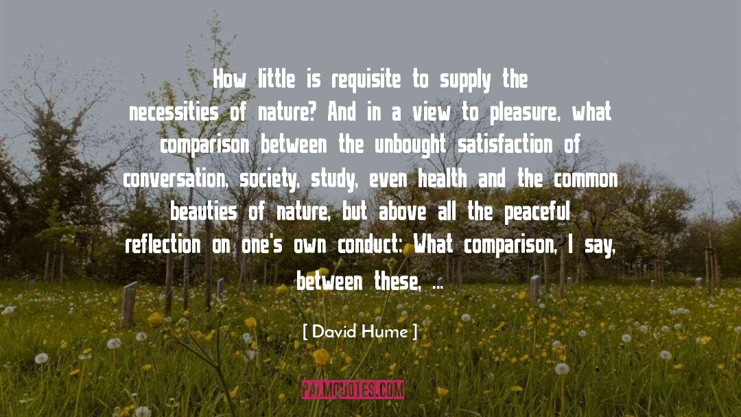 David Hume Quotes: How little is requisite to