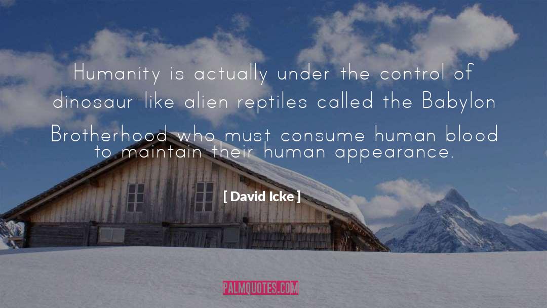 David Icke Quotes: Humanity is actually under the