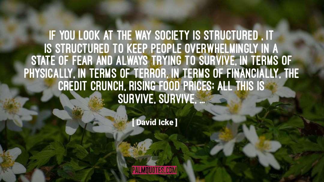 David Icke Quotes: If you look at the