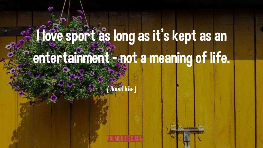 David Icke Quotes: I love sport as long