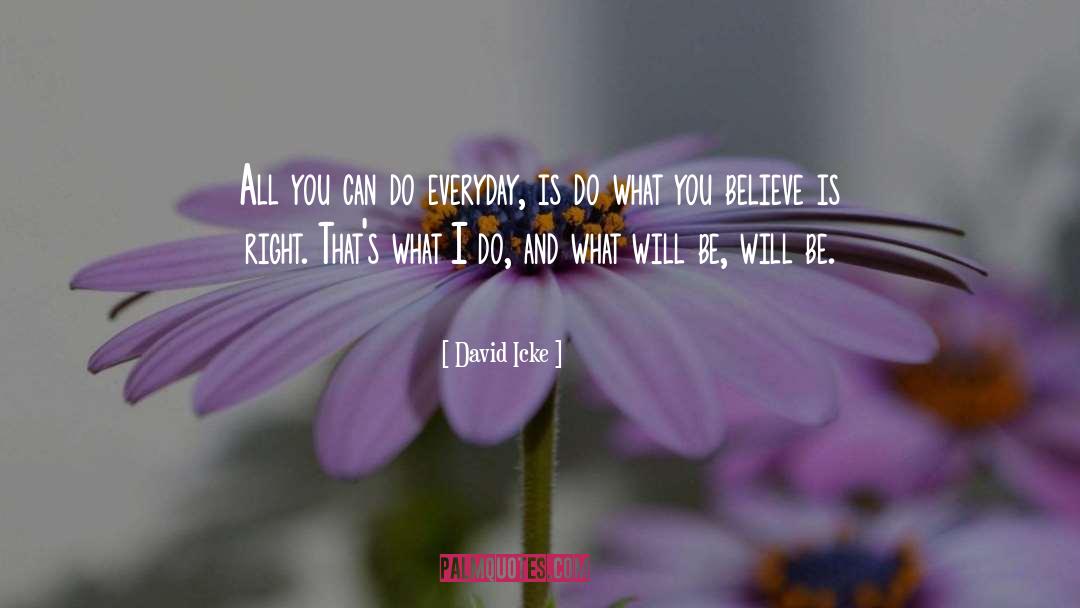 David Icke Quotes: All you can do everyday,