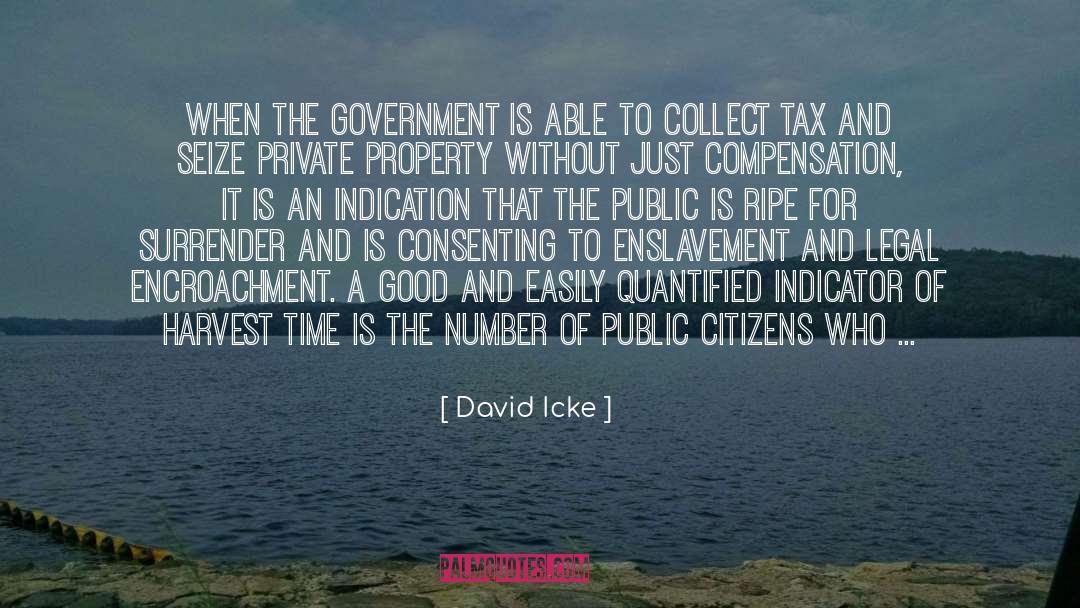 David Icke Quotes: When the government is able