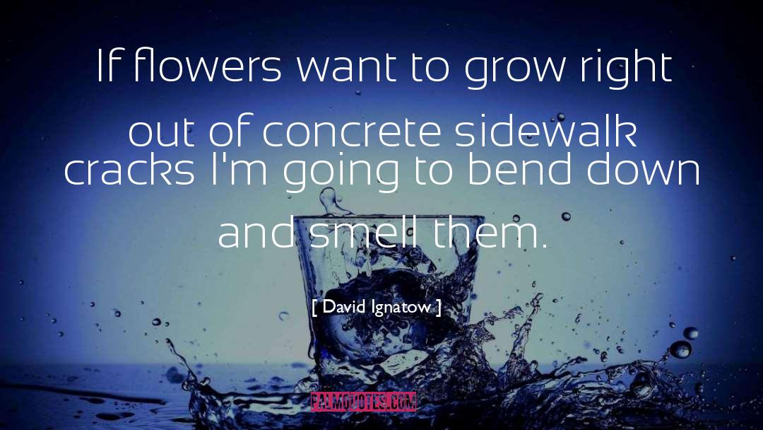 David Ignatow Quotes: If flowers want to grow