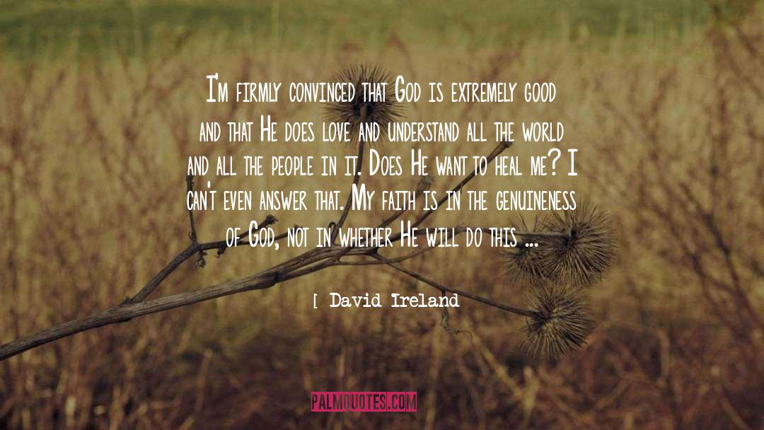 David Ireland Quotes: I'm firmly convinced that God