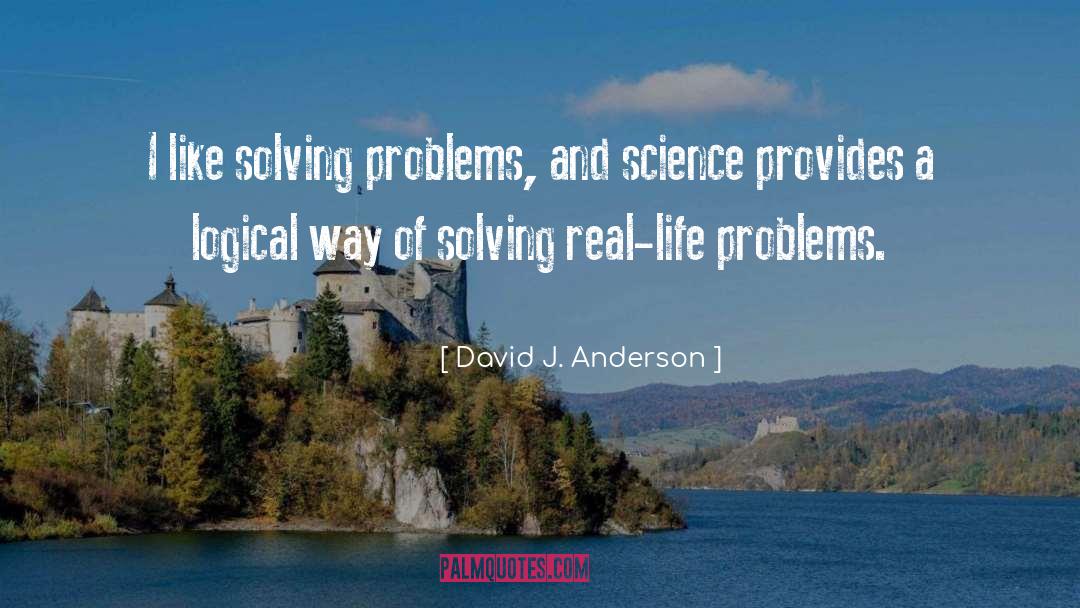 David J. Anderson Quotes: I like solving problems, and