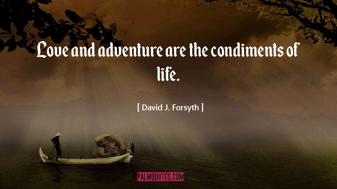 David J. Forsyth Quotes: Love and adventure are the