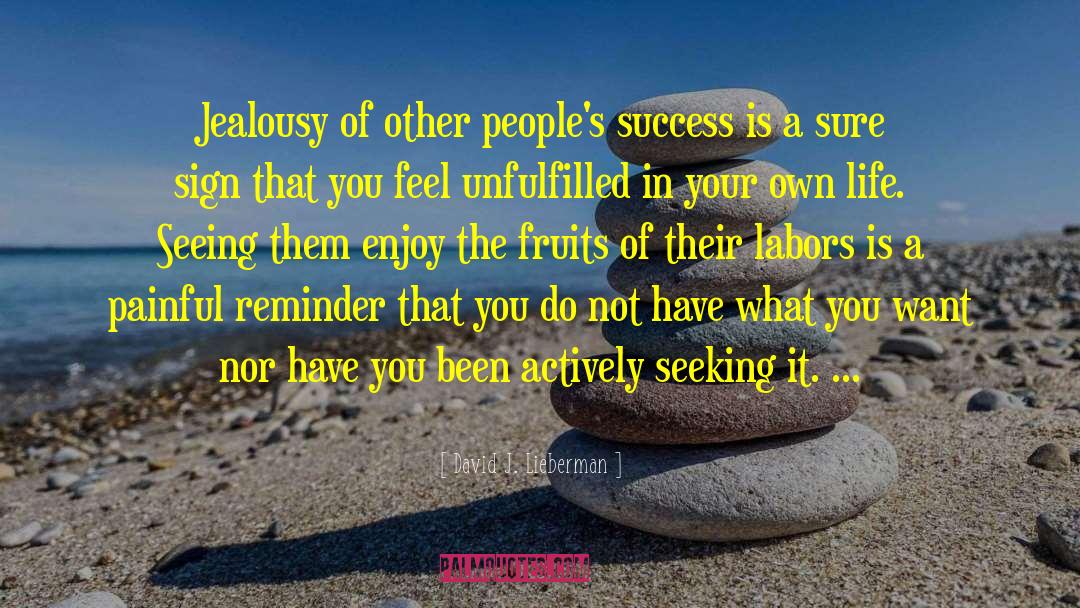 David J. Lieberman Quotes: Jealousy of other people's success