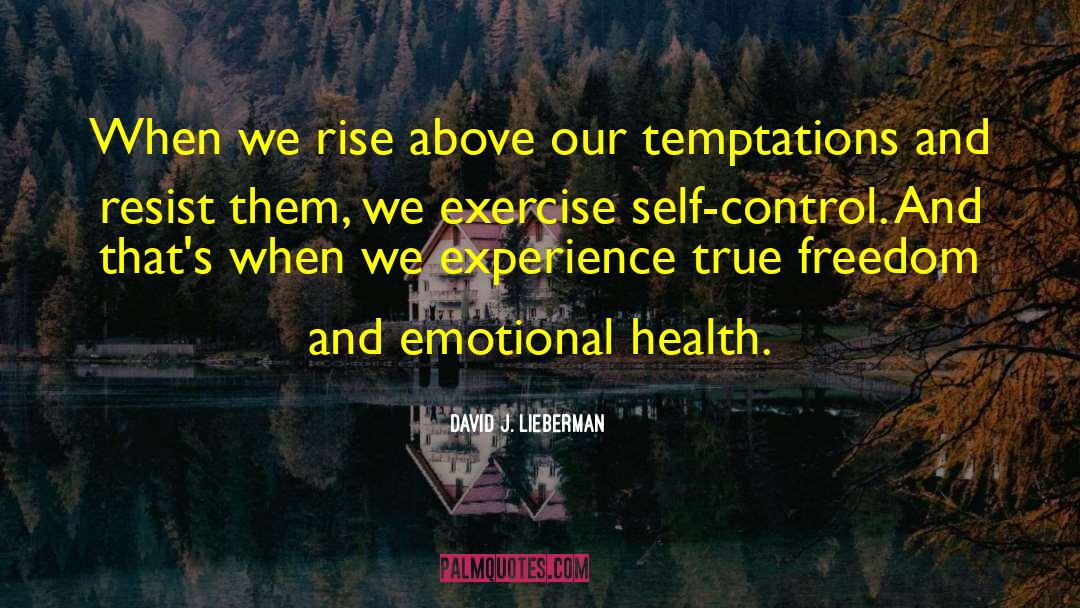 David J. Lieberman Quotes: When we rise above our