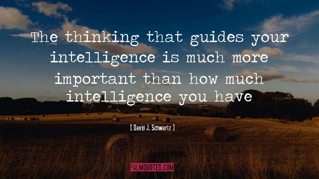 David J. Schwartz Quotes: The thinking that guides your