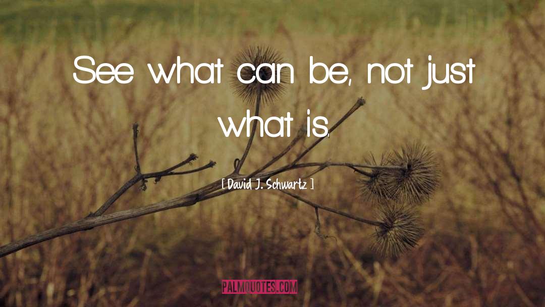 David J. Schwartz Quotes: See what can be, not