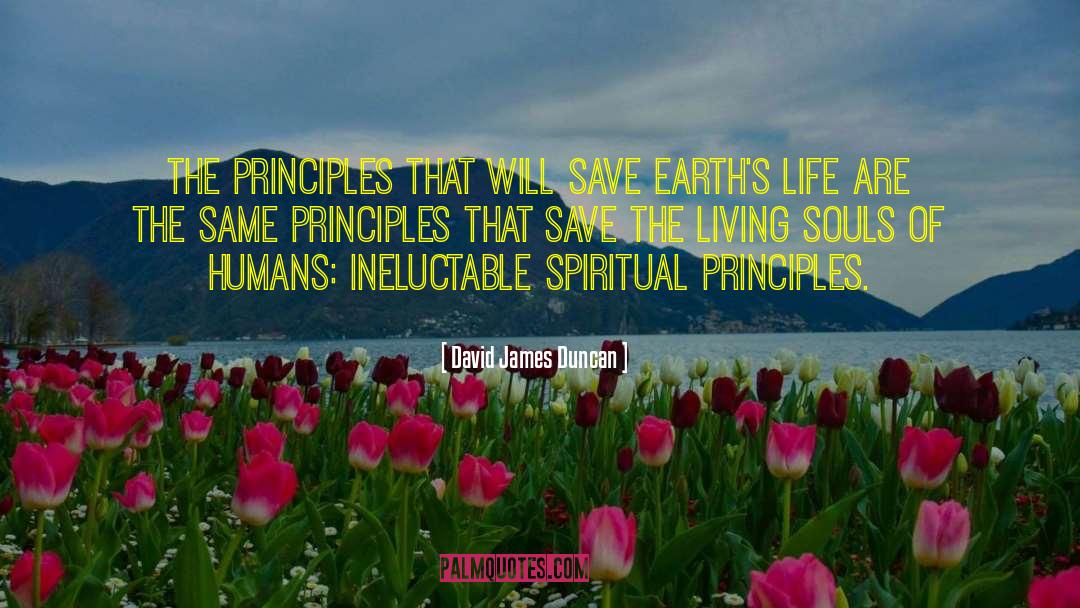 David James Duncan Quotes: The principles that will save