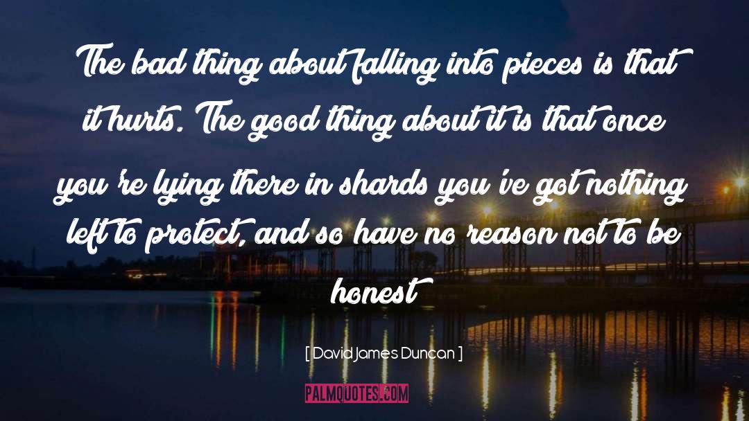 David James Duncan Quotes: The bad thing about falling