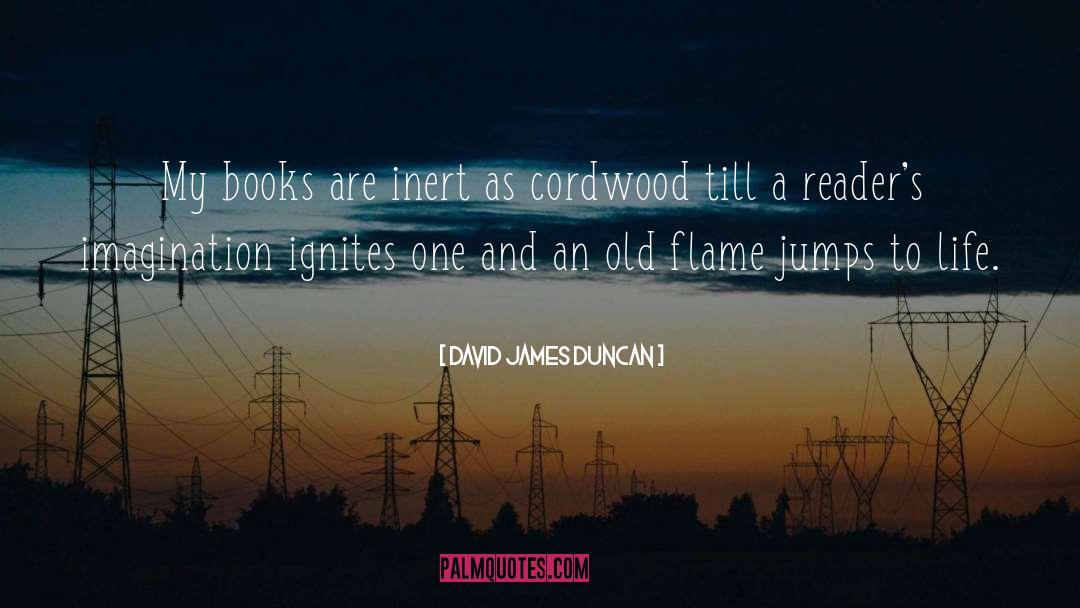 David James Duncan Quotes: My books are inert as