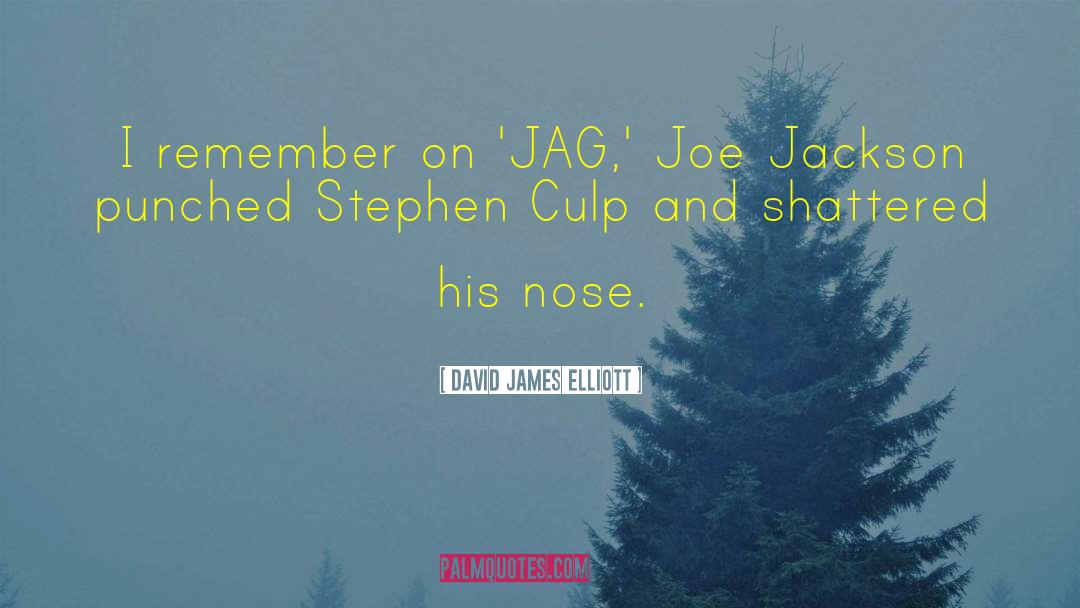 David James Elliott Quotes: I remember on 'JAG,' Joe