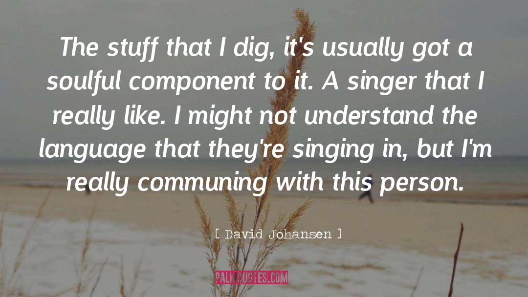 David Johansen Quotes: The stuff that I dig,