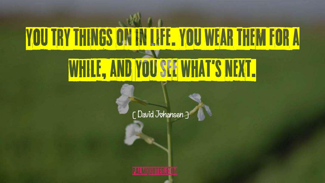 David Johansen Quotes: You try things on in