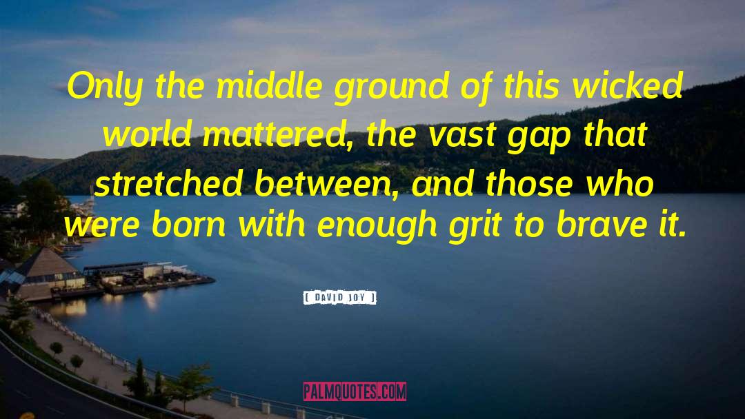 David Joy Quotes: Only the middle ground of